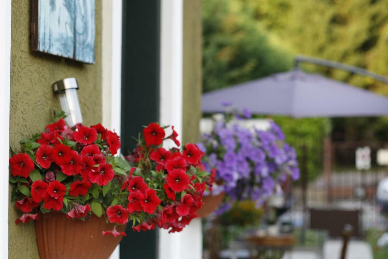 Venice Garden Apartments メストレ エクステリア 写真